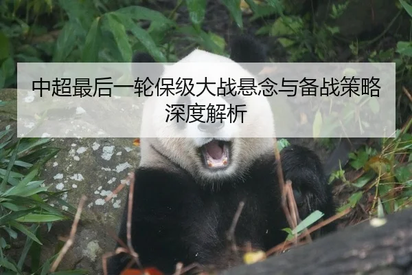 中超最后一轮保级大战悬念与备战策略深度解析